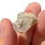 Opal Etiopian de Foc, brut, E28
