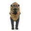 Decoratiune vintage din bronz in forma de leu protector asiatic, 14cm