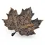 Decoratiune / Suport pentru cristale, model frunza de artar cu detalii florale antichizata manual - 15cm