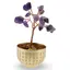 Copac cu cristale naturale de Ametist in bol metalic cu simboluri feng shui - 9cm