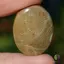 Cabochon coral fosilic 28x21x5mm K15