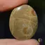 Cabochon coral fosilic 29x23x5mm K61