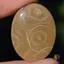 Cabochon coral fosilic 34x26x6mm K33