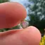 Turmalina Watermelon, cristal natural unicat, cod A30, 5x3mm, 1.1ct