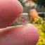 Turmalina Watermelon, cristal natural unicat, cod A62, 6x2mm, 1.35ct
