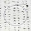 Bratara calcedonie pietre micro fatetate 3mm si argint 925