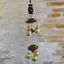 Clopotei de vant din metal cu 6 ramuri, Buddha si Pepita - 60cm