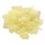 Copal alb rasina naturala 100g