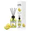 Odorizant camera Eyfel - Melon (Pepene), 120ml, difuzor de parfum