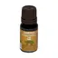 Ulei esential natural aromaterapie Savonia Pin (Pine) 10ml