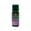 Ulei parfumat aromaterapie Rain forest 10ml - Aroma Land