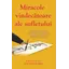 Miracole vindecătoare ale sufletului - Dr. Zhi Gang Sha, carte