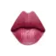 Ruj Luxe, Culoare: POLISHED ROSE