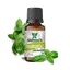 Ulei esential de Busuioc Saimara 10ml