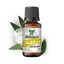 Ulei esential de Cajeput Saimara 10ml