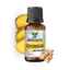 Ulei esential de Ghimbir Saimara 10ml