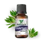 Ulei esential de Ravintsara Saimara 10ml