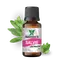 Ulei esential de Salvie Saimara 10ml